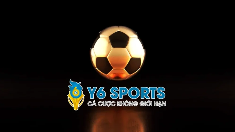 Y6sports – Nhà cái cá độ thể thao đẳng cấp quốc tế