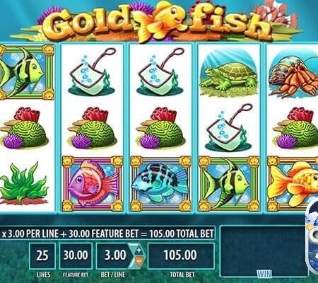 Gold Fish casino slot với giải thưởng lớn nhất 1.050.000$
